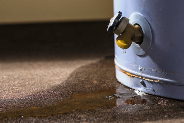 Best Flooded house restoration  in Fruitland, NC