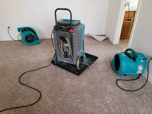 Best Water damage restoration company  in Fruitland, NC