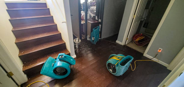 Best Water damage cleanup near me  in Fruitland, NC