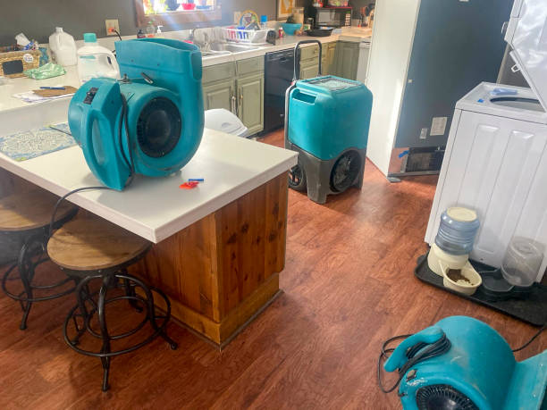 Best 24-hour water damage restoration  in Fruitland, NC
