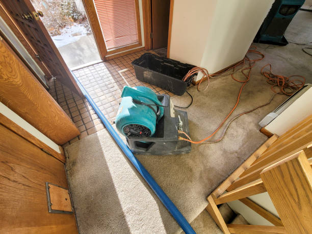 Best Professional water damage repair  in Fruitland, NC