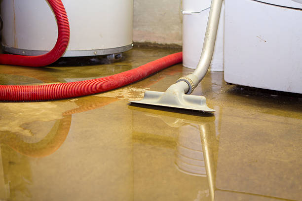 Best Commercial water damage restoration  in Fruitland, NC