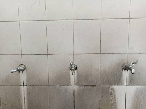 Best 24/7 water damage repair  in Fruitland, NC