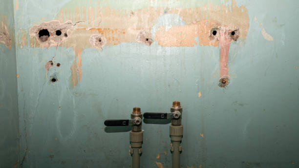24/7 water damage repair in Fruitland, NC