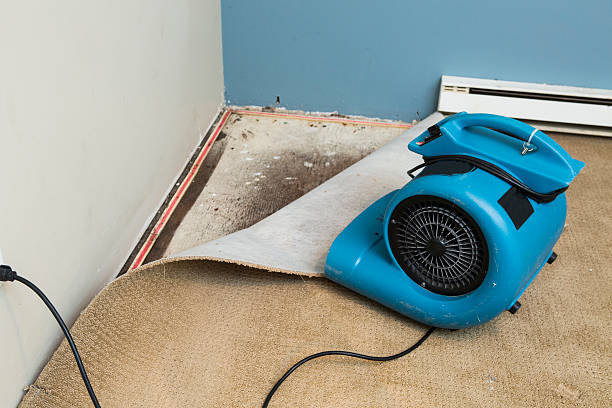 Best Emergency water damage restoration  in Fruitland, NC